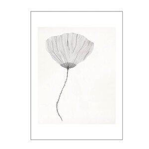 Poster & Frame The Poster Club x Ana Frois poster 30x40 cm poppy