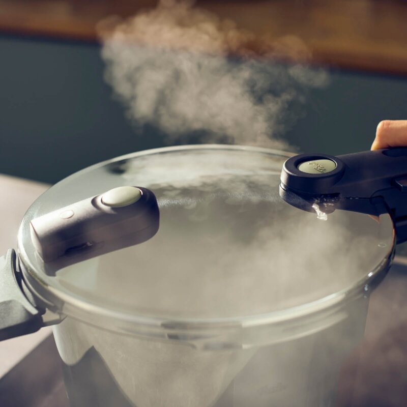 Fissler Vitaquick Elemental trykkoker 6L 22 cm