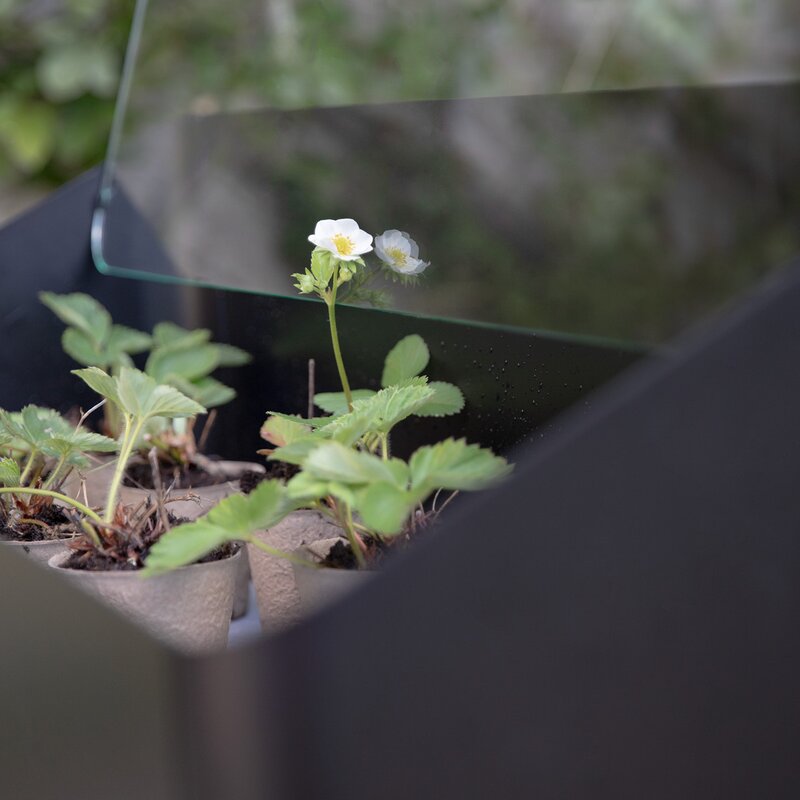 Eva Solo Simply Grow spirekasse svart