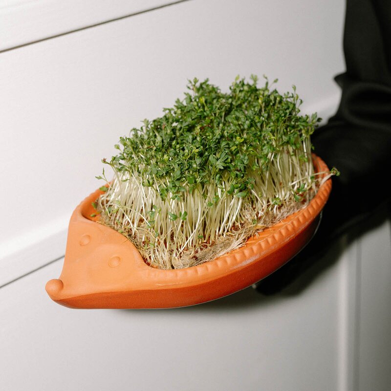 Römertopf Spirepotte i keramikk 25x16 cm