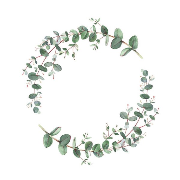 Ambiente Serviett 33x33 cm 20 stk Eucalyptus Branche