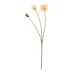 Mr Plant Valmue 75 cm peach