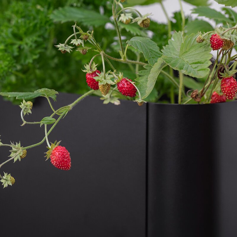 Eva Solo Simply Grow plantekasse svart