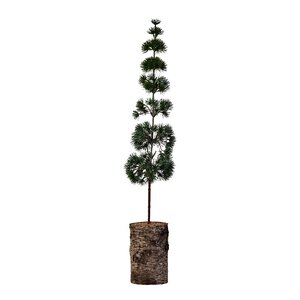 House Doctor Pine juletre 15 cm grønn