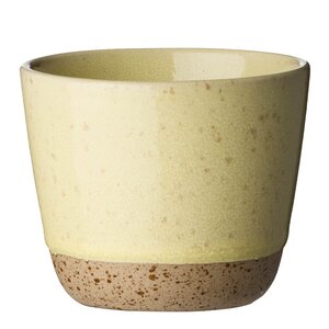 Aida RAW krus 20 cl yellowish