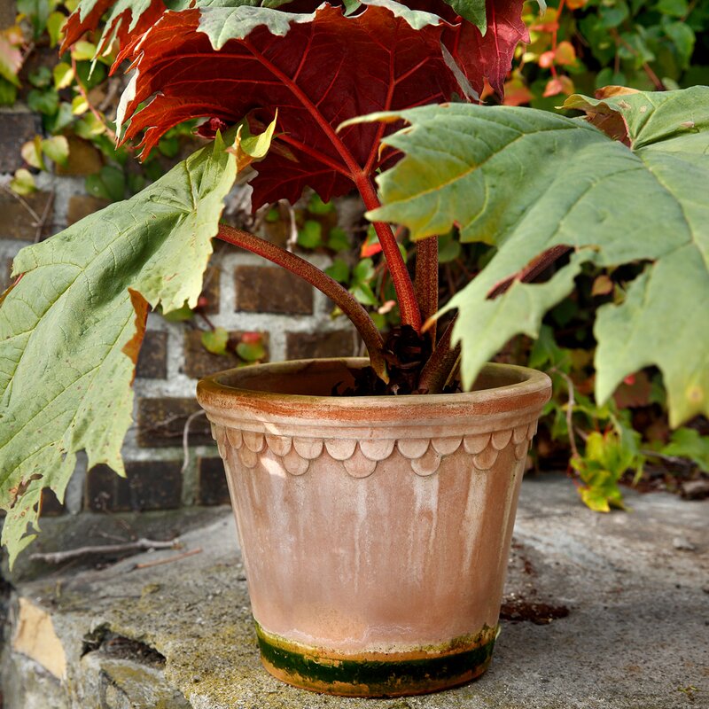 Bergs Potter Københavner blomsterpotte 12 cm rosa