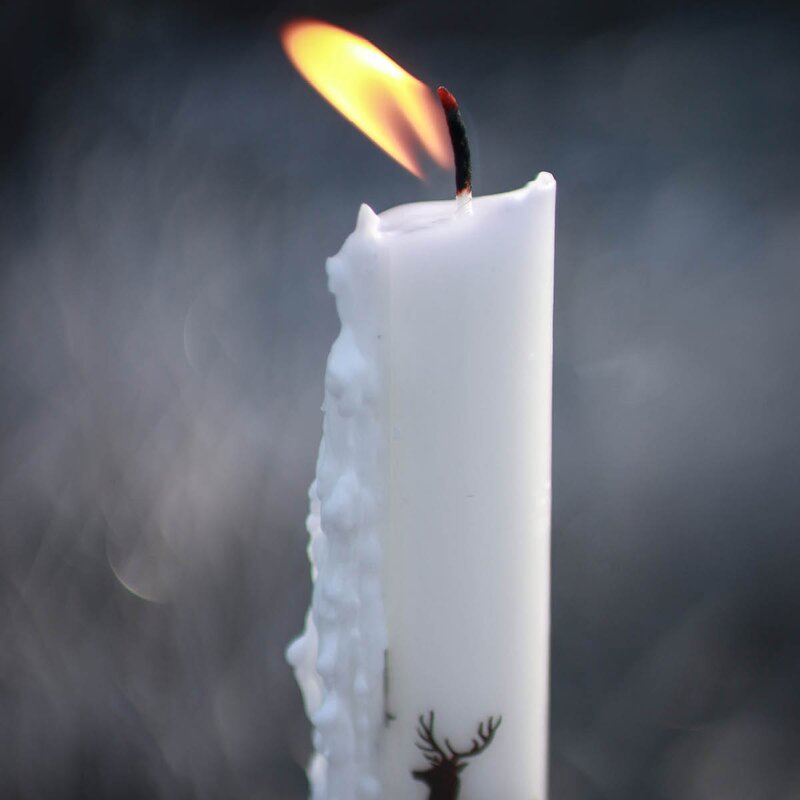 Wik & Walsøe Alveskog kubbelys 25 cm hvit/brun