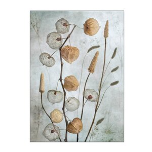 Poster & Frame Mandy Disher poster 30x40 cm lanterns