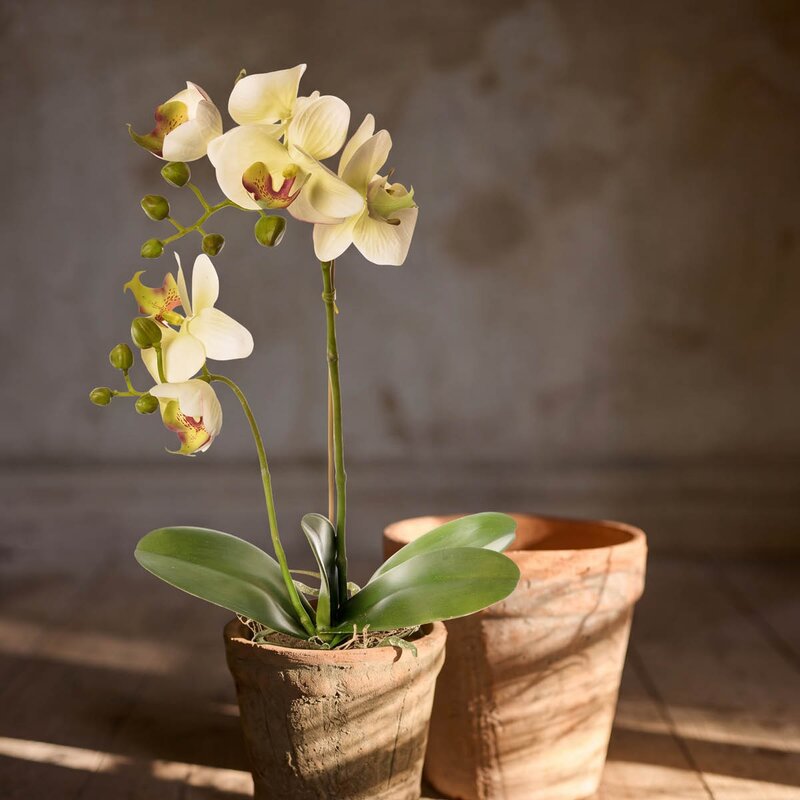 Mr Plant Phalaenopsis kunstig plante 45 cm