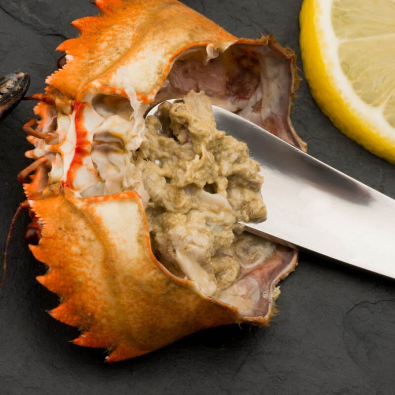 Koala Skalldyrsett med gaffel og tang 3 deler stål