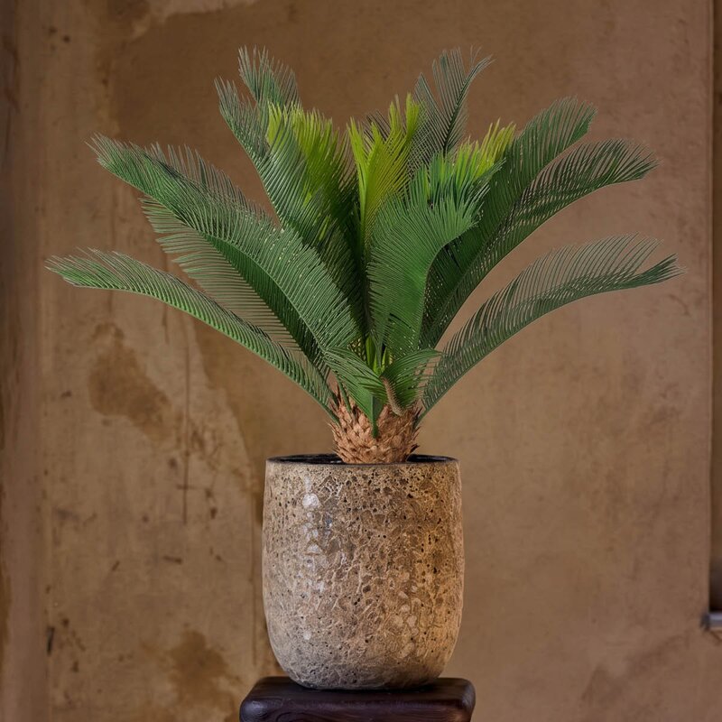 Mr Plant Cycas kunstig plante 70 cm