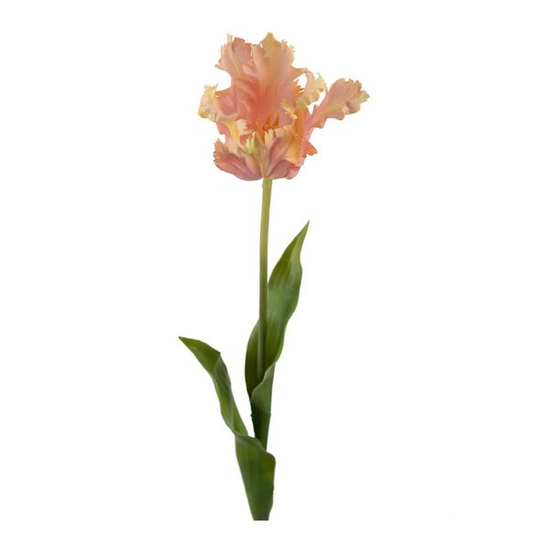 Mr Plant Tulipan 70 cm rosa
