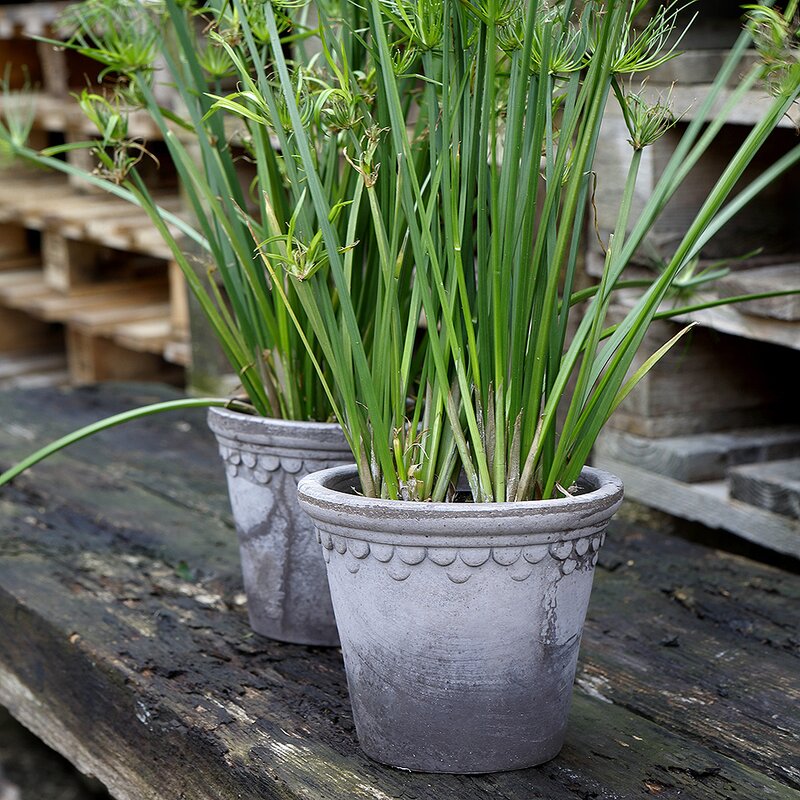 Bergs Potter Københavner blomsterpotte 16 cm grå