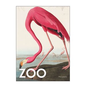 Poster & Frame A.P. Atelier poster 30x40 cm the zoo collection  pink flamingo edt. 002