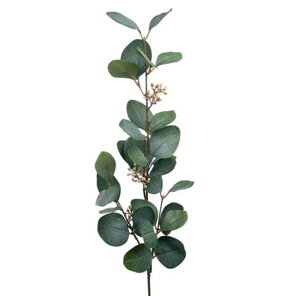 Mr Plant Silkeblomst eucalyptus m/bær