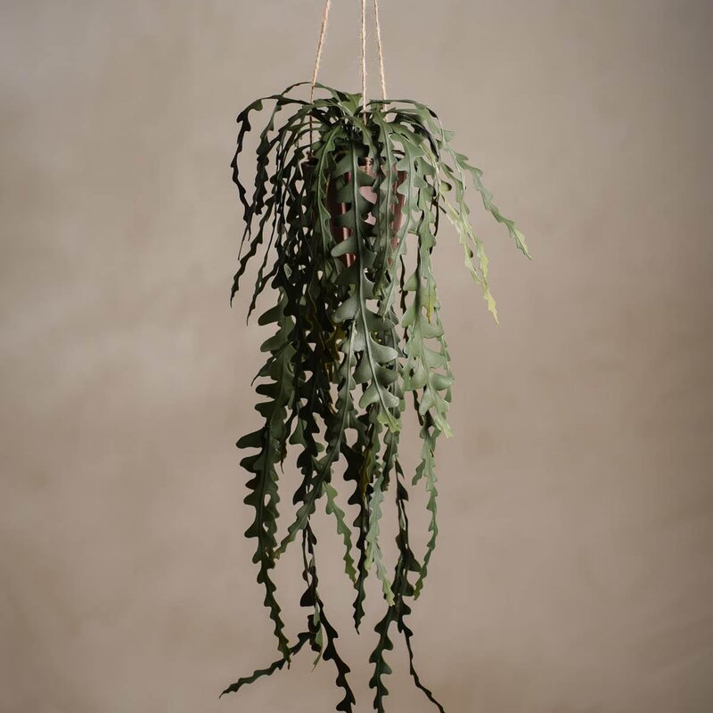 Mr Plant Elghornbregne kunstig plante 60 cm