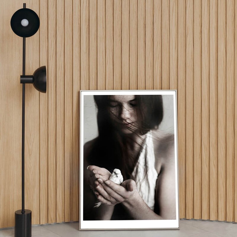 Poster & Frame Ingrey Studio poster 50x70 cm girl & bird