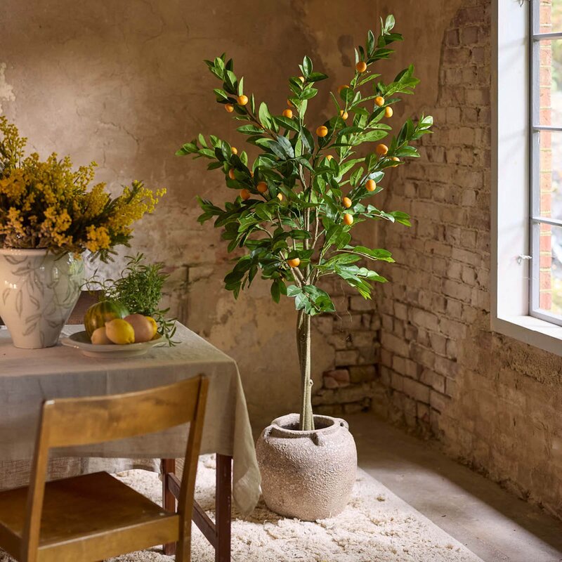 Mr Plant Citrus kunstig plante 70 cm