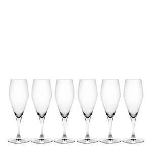 Holmegaard Perfection champagneglass 23 cl 6 stk