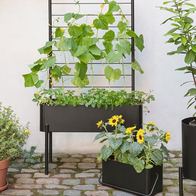 Eva Solo Simply Grow plantekasse svart
