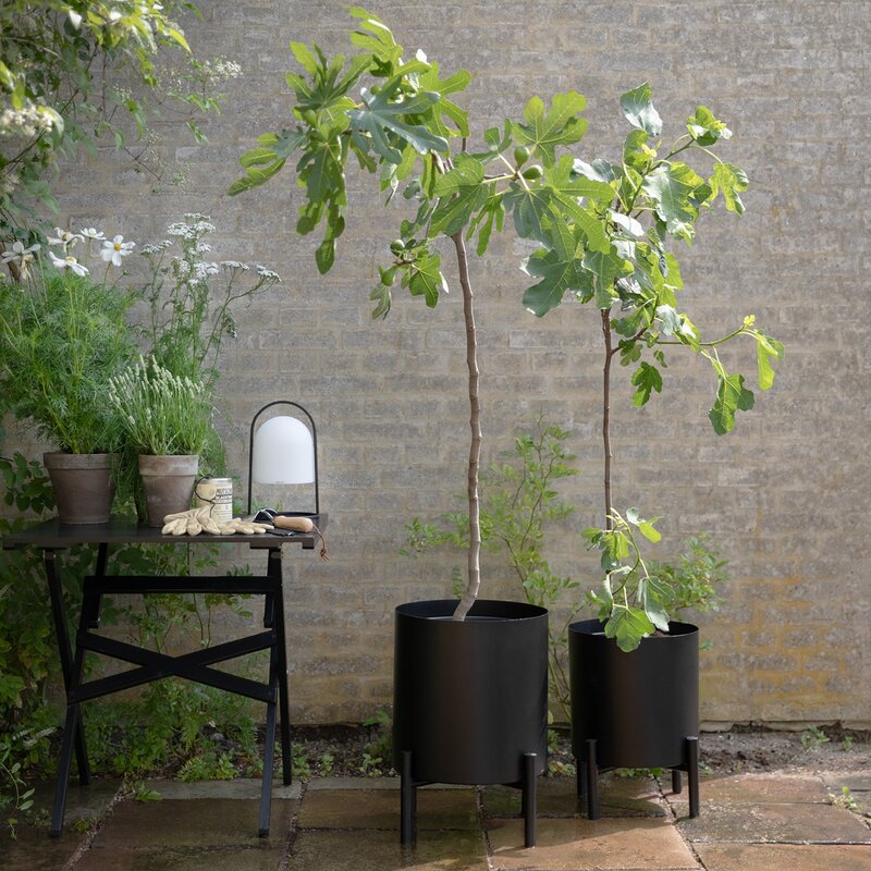 Eva Solo Simply Grow ytterpotte stor 42x51 cm svart