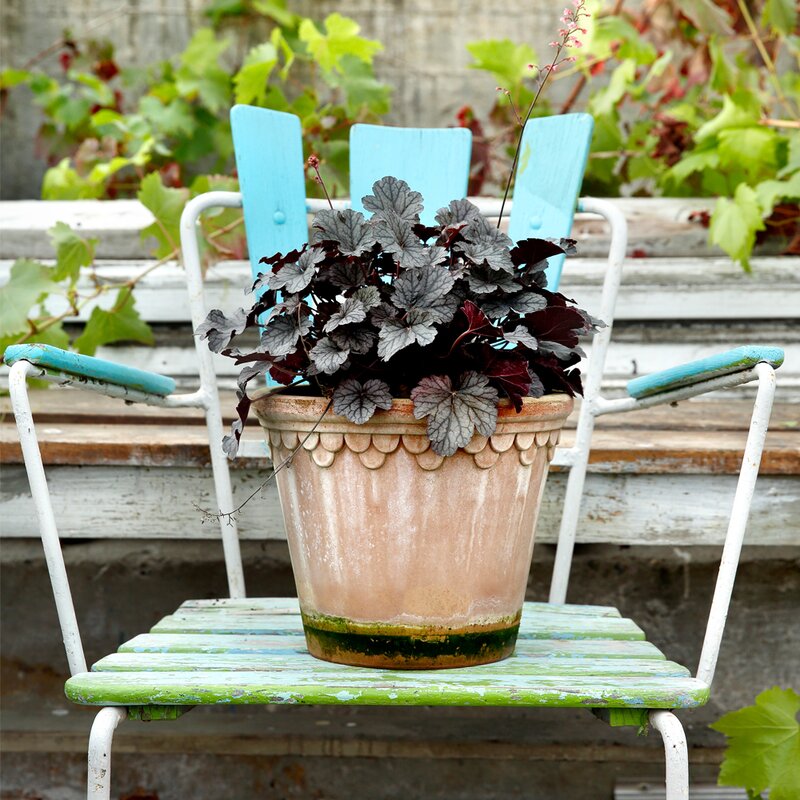 Bergs Potter Københavner blomsterpotte 14 cm rosa
