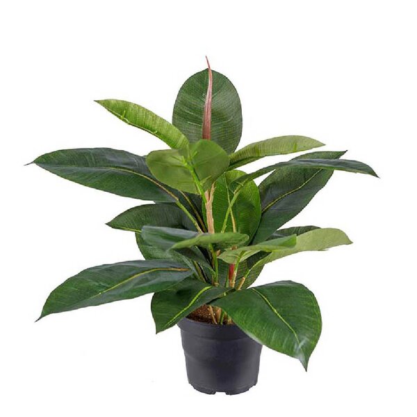 Mr Plant Fikus Robusta kunstig plante 35 cm