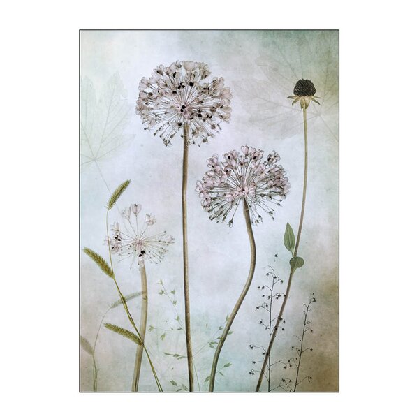 Poster & Frame Mandy Disher poster 30x40 cm allium