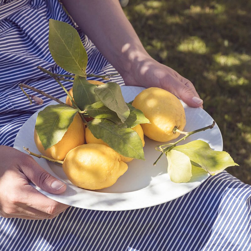 Lyngby Porcelæn Rhombe tallerken 27 cm hvit