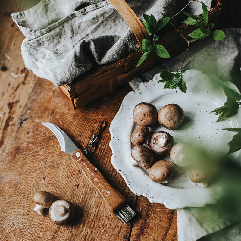 Dorre Stuti soppkniv med børste 13,2 cm brun