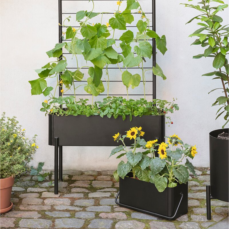 Eva Solo Simply Grow balkongkasse 20x42x20 cm svart