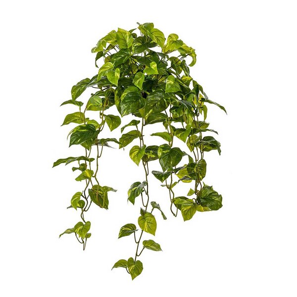 Mr Plant Gullranke kunstig plante 70 cm