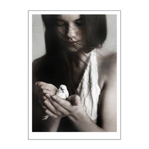 Poster & Frame Ingrey Studio poster 30x40 cm girl & bird