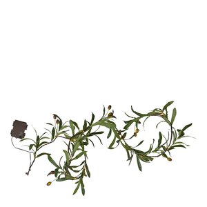 Star Trading Olivec girlander 860-54 180 cm grønn