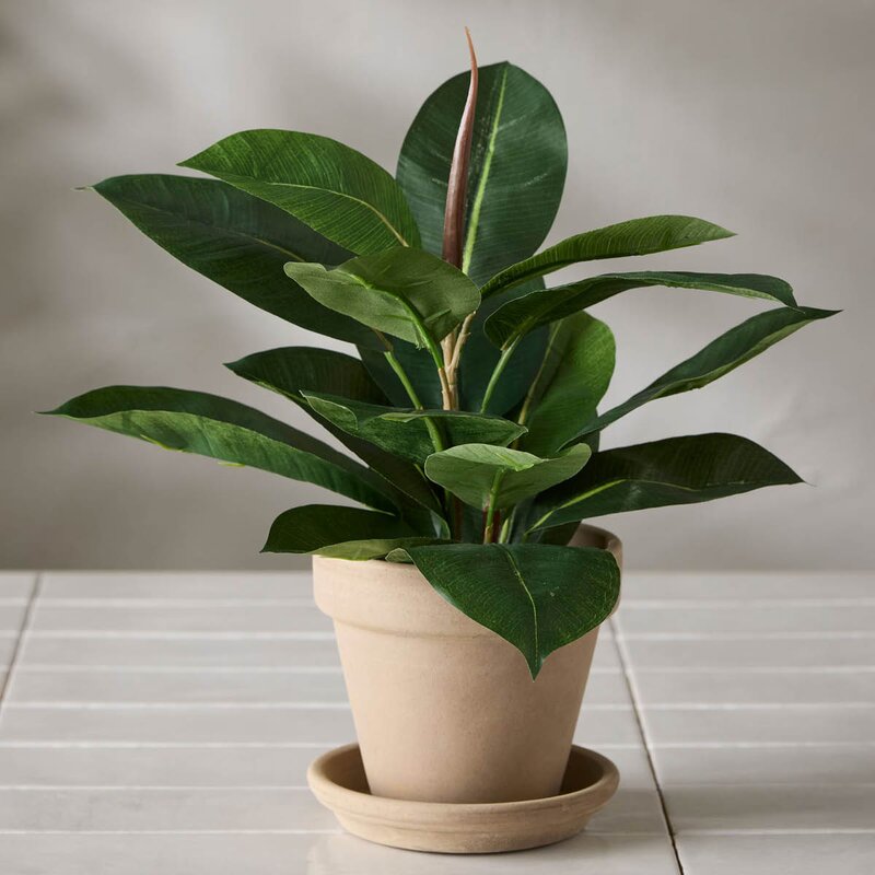 Mr Plant Fikus Robusta kunstig plante 35 cm
