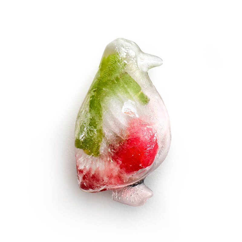 Lékué Isform med lokk for 12 isbiter pingvin turkis