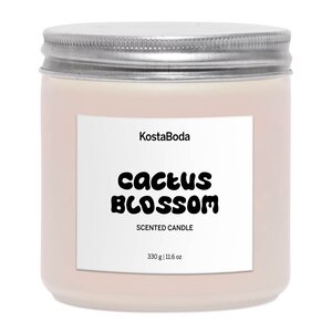 Kosta Boda Mind duftlys 10 cm Cactus Blossom