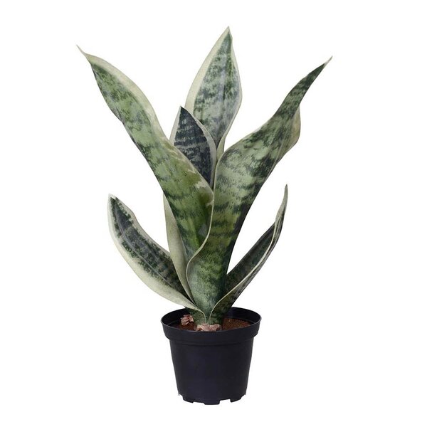 Mr Plant Sansiveria kunstig plante 35 cm