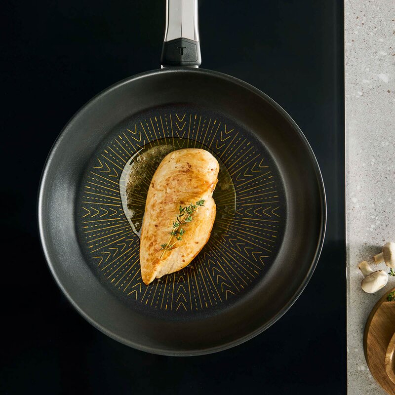 Tefal Emotion Plus Flavors SS stekepanne 24 cm