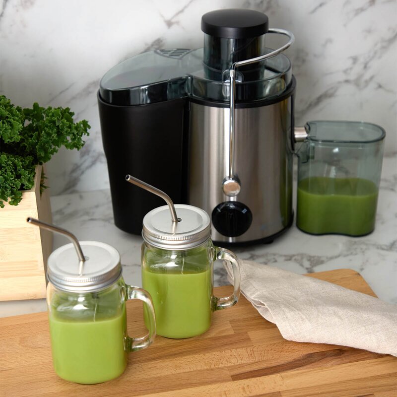 CHAMPION Juicemaskin RS400 0,5L 600W rustfritt stål/svart