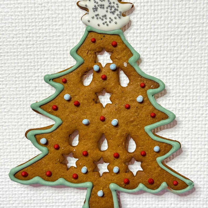 Modern House bAYk pepperkakeform 20 cm juletre