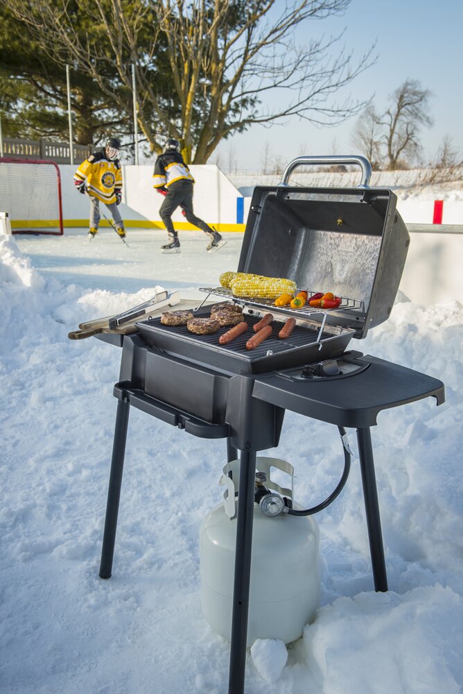 Broil King Porta Chef 120 bærbar gassgrill med 1 brenner