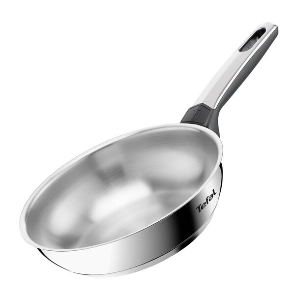 Tefal Emotion Plus SS Uncoated stekepanne 20 cm