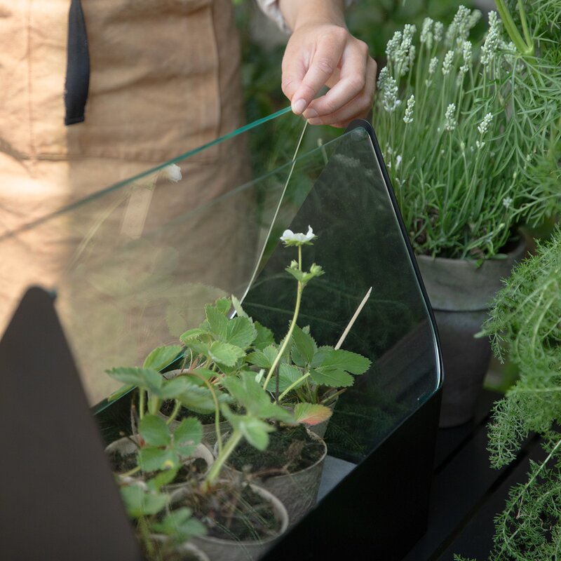 Eva Solo Simply Grow minidrivhus 20x42x32cm svart