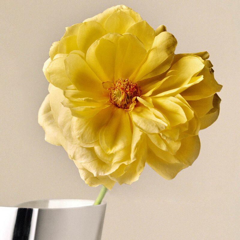 Georg Jensen Lituus vase medium 35,3 cm blank