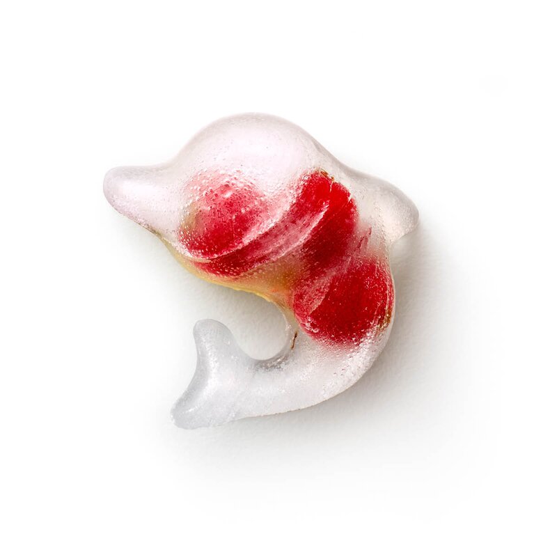 Lékué Isform med lokk for 11 isbiter delfin turkis