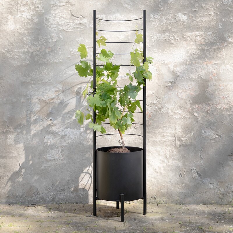Eva Solo Simply Grow espalier til ytterpotte svart