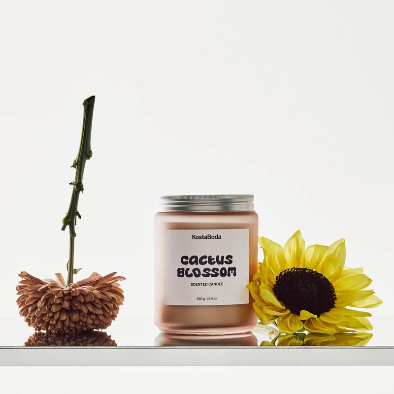 Kosta Boda Mind duftlys 10 cm Cactus Blossom