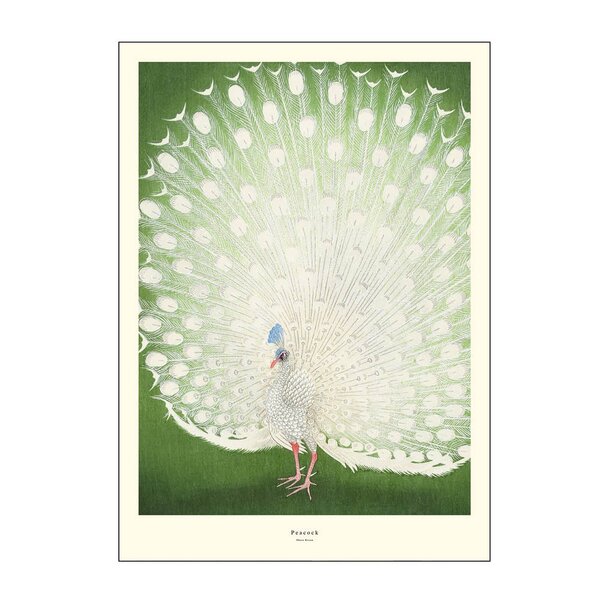 Poster & Frame A.P. Atelier poster 50x70 cm peacock