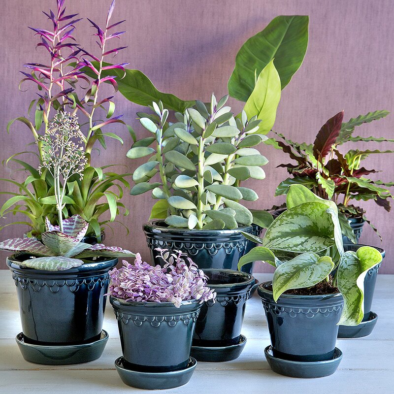 Bergs Potter Københavner blomsterpotte 18 cm blå petroleum